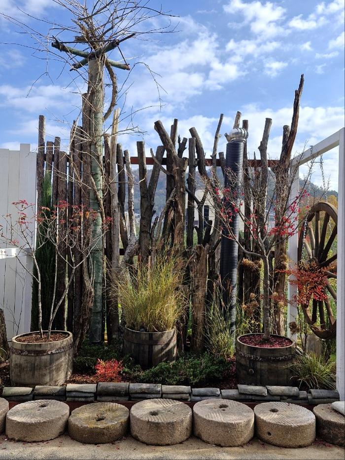 235149625_f2yWF3gc_65a33dfde00aa0b96475d39397f2637adfc23d2c.jpg 이미지크게보기