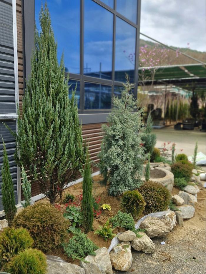 235149625_nerGf7Dg_4c65bdb25b668c9a317a6947a950ebfac242ae5d.jpg 이미지크게보기