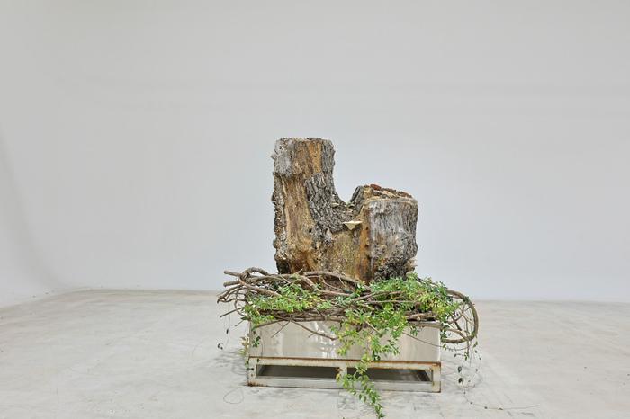 235149625_QJOSpzPN_eb7254eca6983acb077d2c38703d63ce08990379.jpg 이미지크게보기