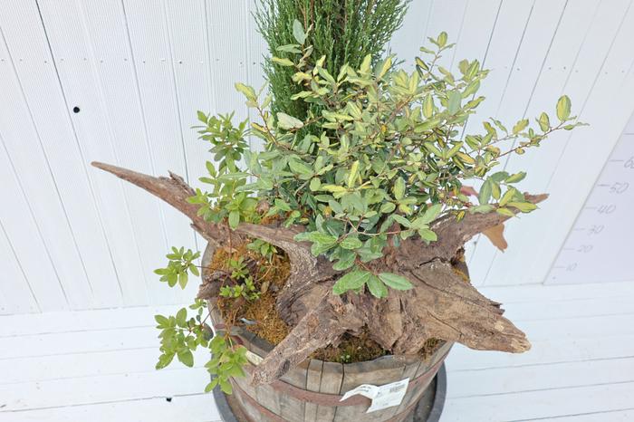 235149625_TFwduBs5_914bad4390ab5a74ec0b213241360b4f83d95f6d.jpg 이미지크게보기