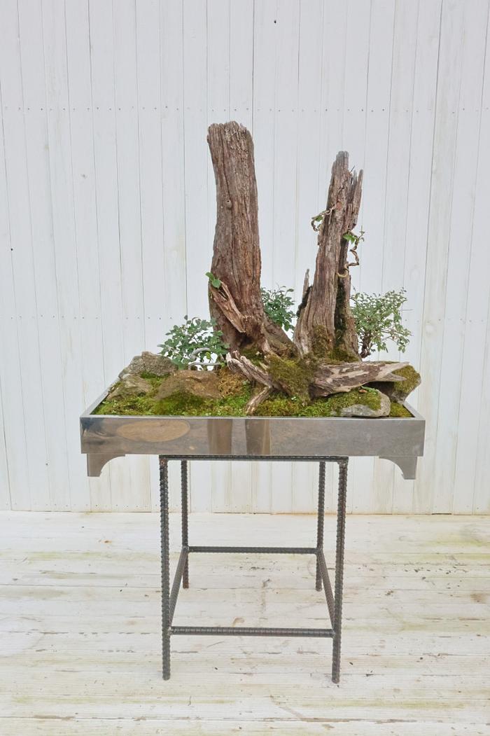 235149625_0K8oh6YF_f02859db70dd97f78a784ff39af12e22a94d98c8.jpg 이미지크게보기