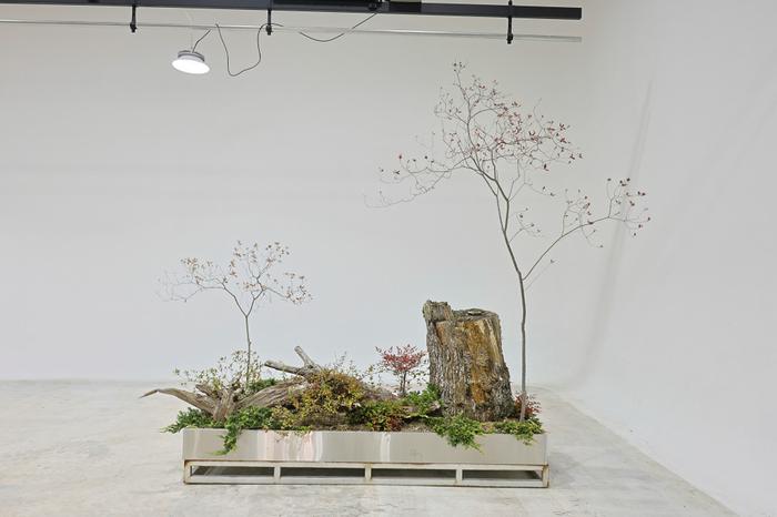 235149625_CHLXV8Yj_01059748c14862673a295f06e74e12199c7d2f4e.jpg 이미지크게보기