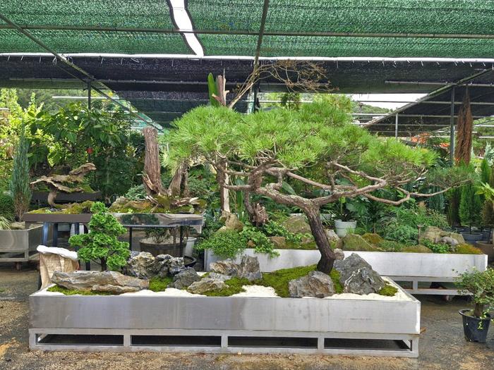 235149625_KO8msJ40_946a3abad6b2b14a164a1bf76e7dcedbac0aa617.jpg 이미지크게보기