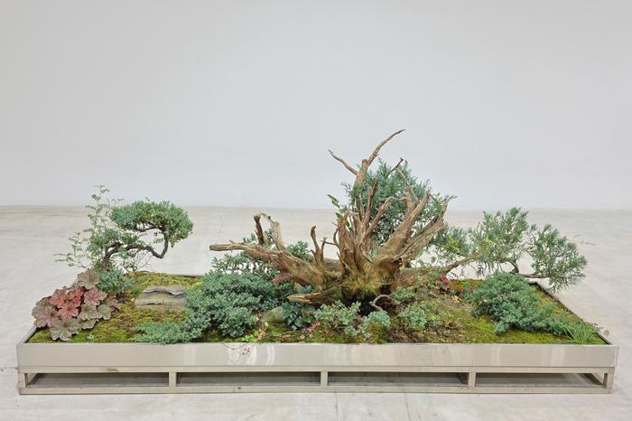 235149625_TExXFLS0_2a949fea022c4130faccf33c01caddc1a904f731.jpg 이미지크게보기