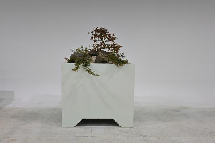 235149625_agC4Ilx5_449802e86de3b888c1e12c139ae0c50bdc3455fa.jpg 이미지크게보기