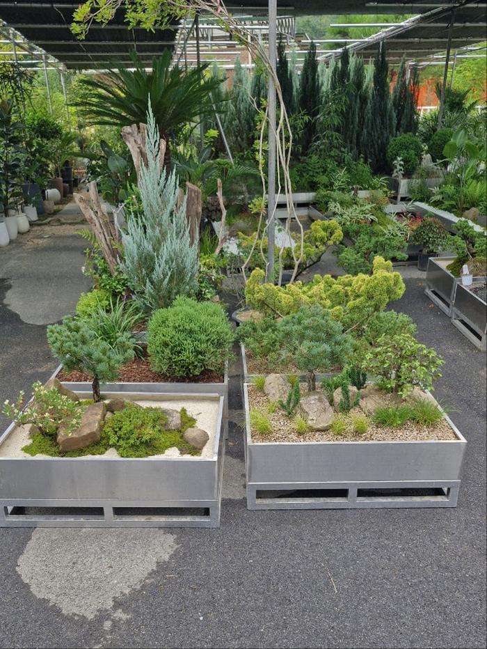 235149625_nZvNkATS_64f5bfd158be5c5e8ead5d52bba71bca1e16637d.jpg 이미지크게보기