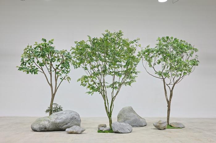 235149625_BRfNpHrc_aa880f3e4c8f81677d419147f08de9d55dd7a0a3.jpg 이미지크게보기