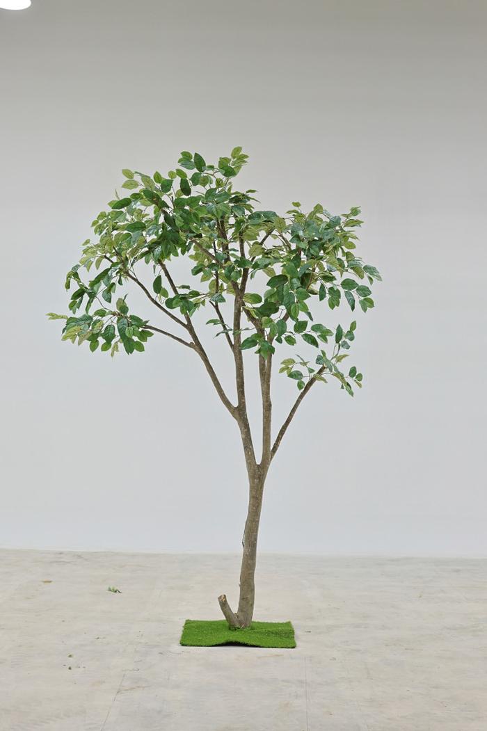 235149625_XUpYOIa0_ba096c7d7658572231ae88c90bb2c5655cf7c082.jpg 이미지크게보기