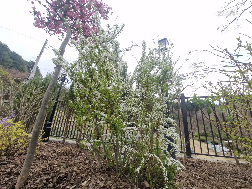 235149625_3eOW2dNL_35215c49778db3ee20d0287bec3050e93a177ea8.jpg 이미지크게보기