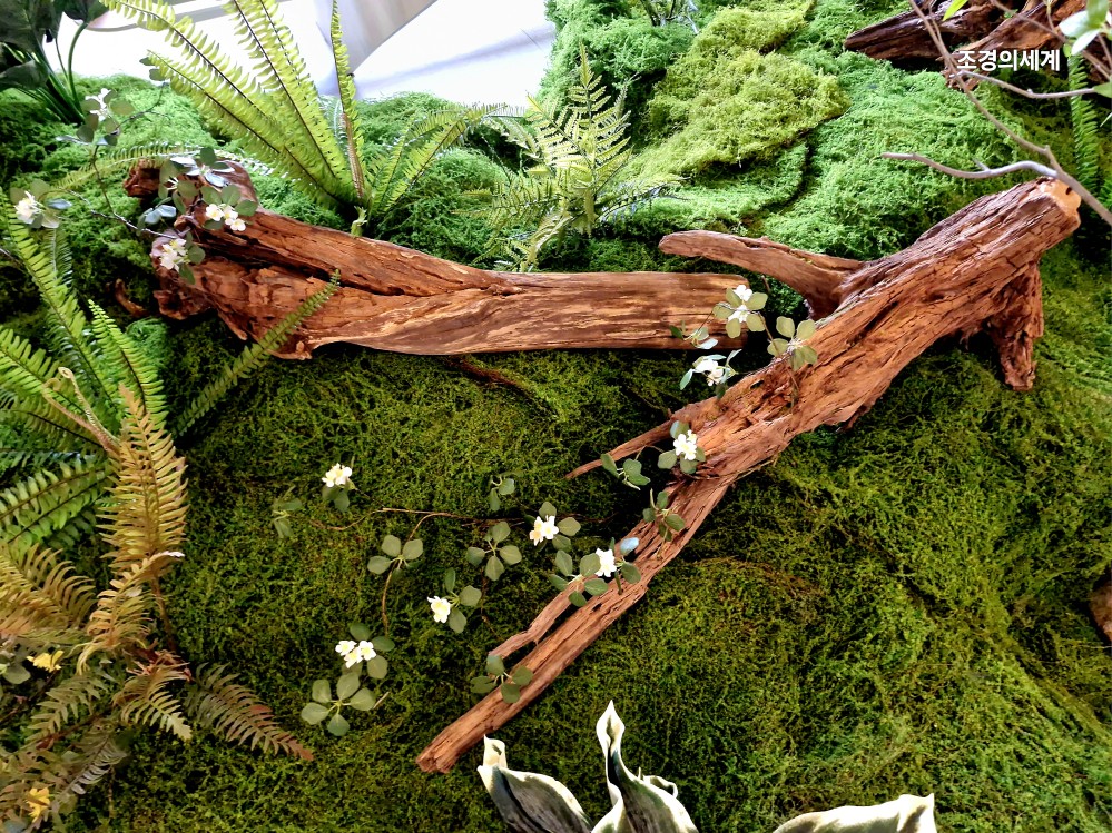 235149625_5BEFgOLC_f8c6c5623e4ffcf03628ad91480f9da485356b65.jpg 이미지크게보기