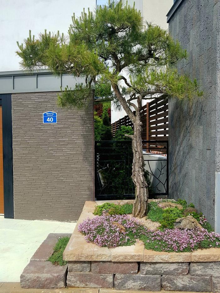 235149625_6SeCtKMf_38eb955af1fe5615e87c263454f2ed9ca3e350b5.jpg 이미지크게보기