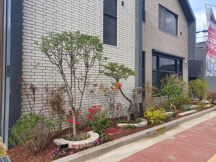 235149625_7TLw1pnh_541d1dc6d2875e5e68676abd66a128dca2add231.jpg 이미지크게보기