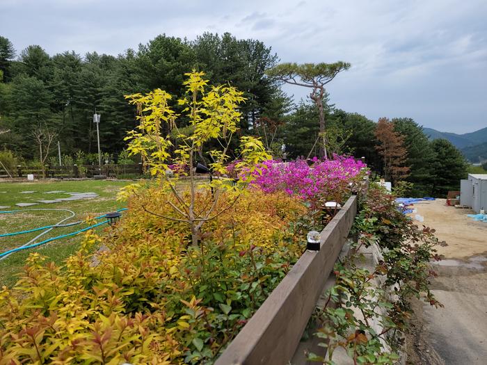 235149625_9PYx2dwy_0d5bd146f7ed850c64372d63df4cbb38ba262cc0.jpg 이미지크게보기