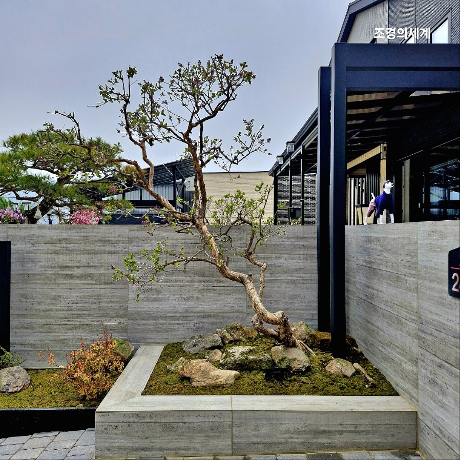 235149625_M5g7UL4H_a4fa5bc1835b3162e2f0cf3d59a61ad9149c19ae.jpg 이미지크게보기