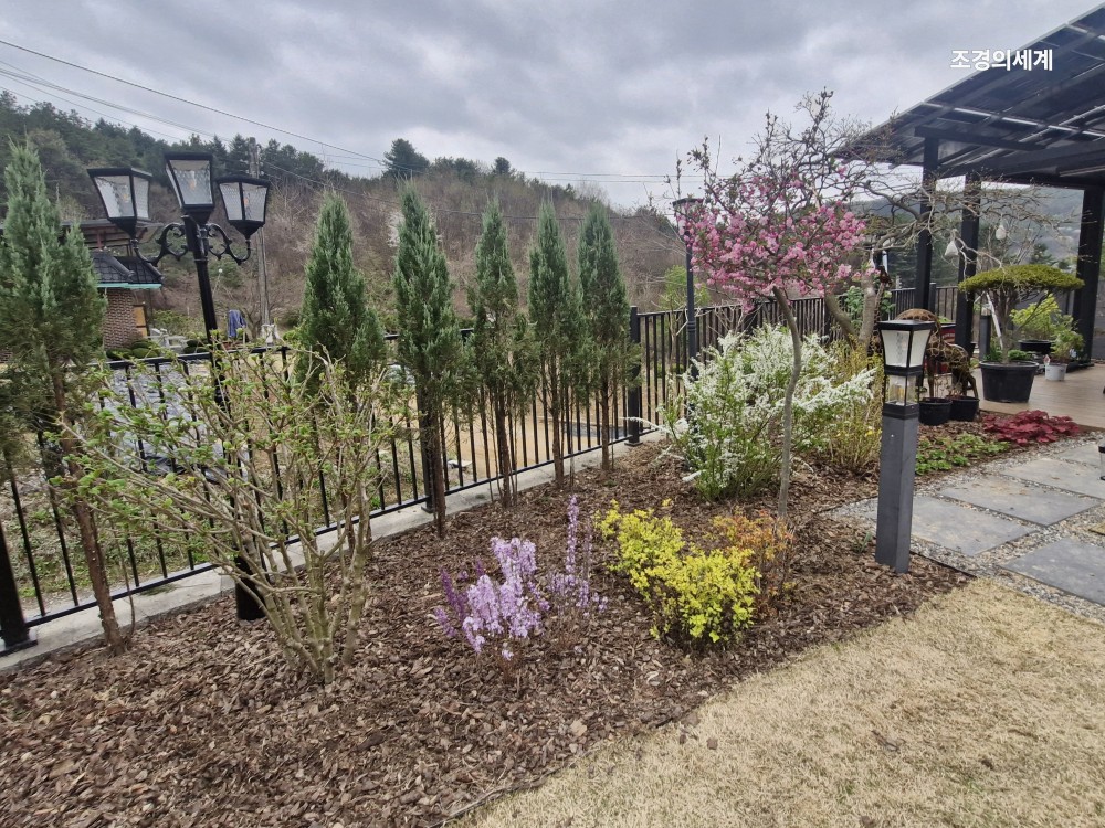 235149625_QnyPAbD5_1b129d4fa4988c6cc904cc50fd20c5e1e312b667.jpg 이미지크게보기