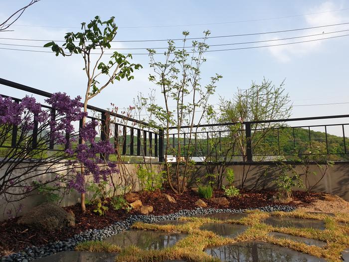 235149625_c5nfy9xv_d3627c7ce097a4a3771beda8a9a5bde1d1fc0fae.jpg 이미지크게보기