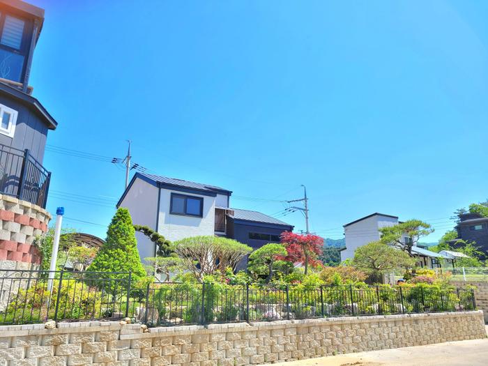 235149625_dywl0JZi_ce24a2d8977c6ef991f9c0e695a03f1916ffaa9f.jpg 이미지크게보기