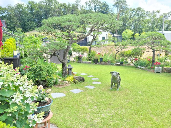 235149625_iLI9KJHW_cda21572814f5e970db12151048b5532abb794a9.jpg 이미지크게보기