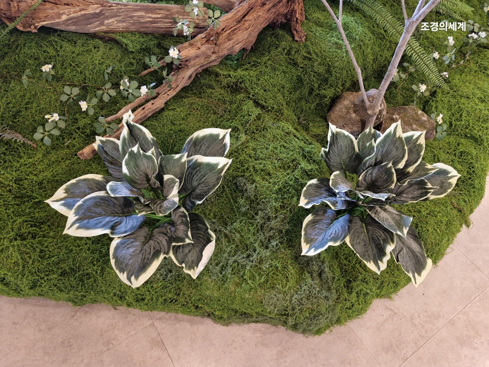 235149625_inu0PhEq_4b441a8c58d8e3c6b6d7097f6eadbec43ecb6f54.jpg 이미지크게보기