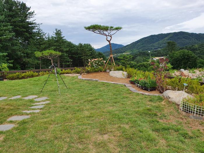 235149625_jCkBcbnJ_58829858222322710d1c21574a1fa7c529f16cc6.jpg 이미지크게보기