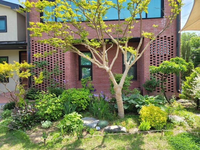 235149625_pPljiXrK_cfcb798d678c0ac061a82f121fb37d8bc5976dba.jpg 이미지크게보기