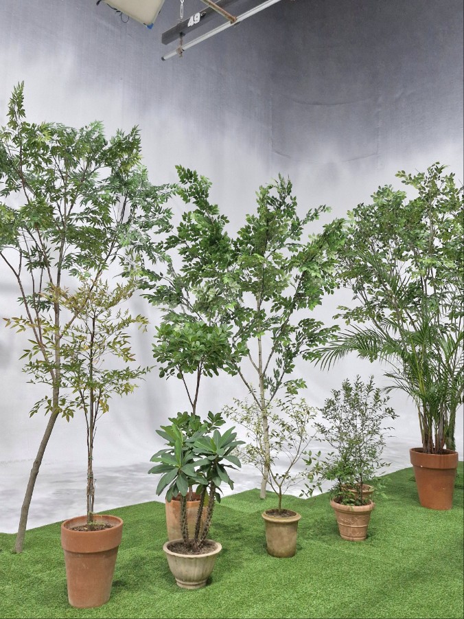 235149625_pqMtrogN_bc9c31f58d6840da631d45255a442a2067e0dd7a.jpg 이미지크게보기