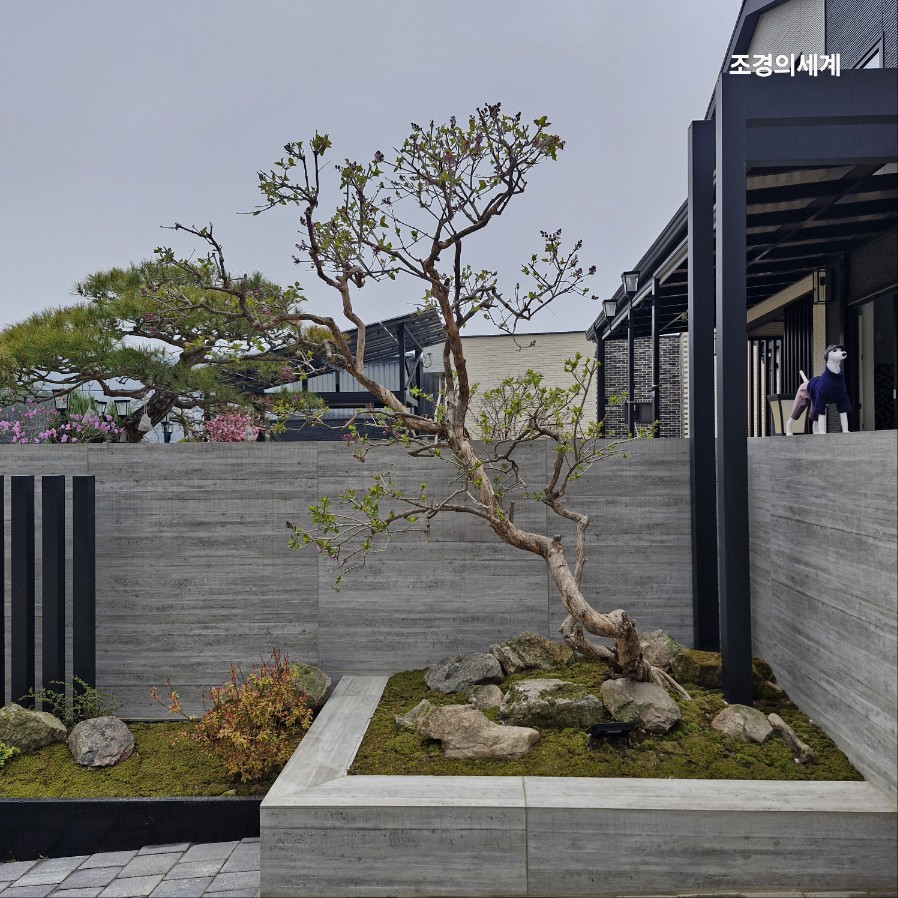 235149625_ptKwLXS2_099412eeab839775ea00eb6115465e98ce601bac.jpg 이미지크게보기