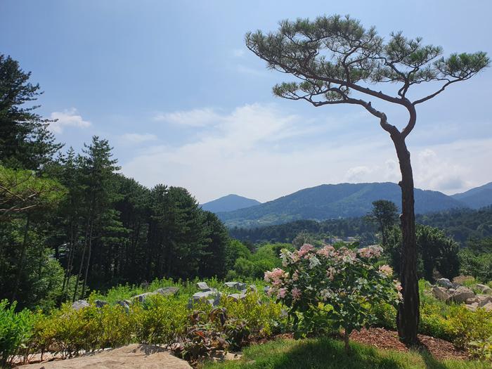 235149625_sNXe7DCW_6ff659c23d7c55366333f6efedef73304fceb6f2.jpg 이미지크게보기