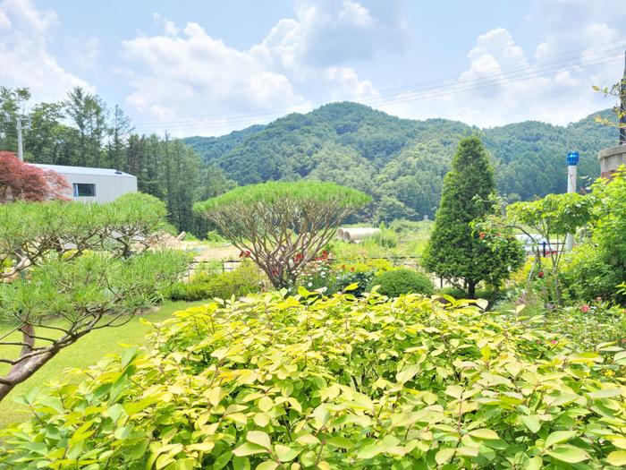 235149625_soVq6Ugn_7eb71d075ccb4f167cfbd2867d63358ea23af2ea.jpg 이미지크게보기