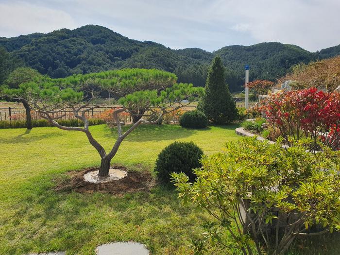 235149625_tWfzAM1O_6a1d29b2757b741f69c6d23caf8e59f073eb39f9.jpg 이미지크게보기