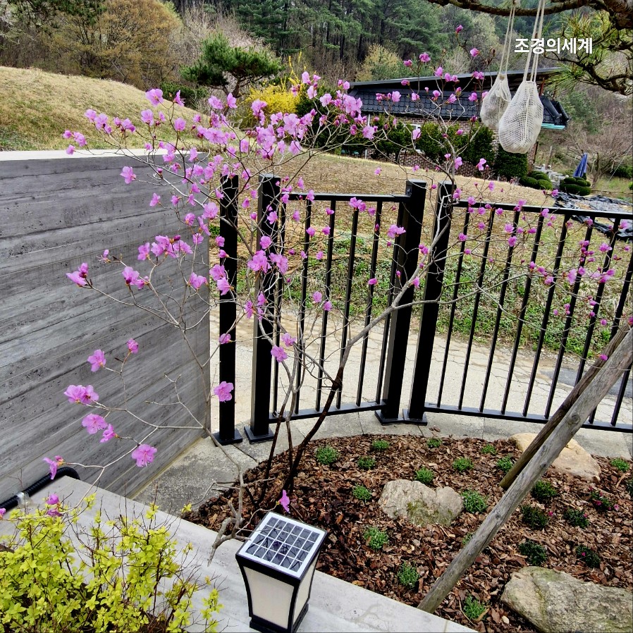 235149625_trKmkVqf_dcfc4077fdb5699e4139650f70fd8b71c8b0a9e0.jpg 이미지크게보기