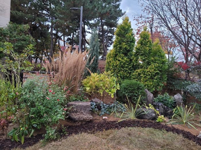 235149625_xAv1C3VL_9c2a4bfc049f7ea2ccab9d71e53e46ceae9d7a81.jpg 이미지크게보기