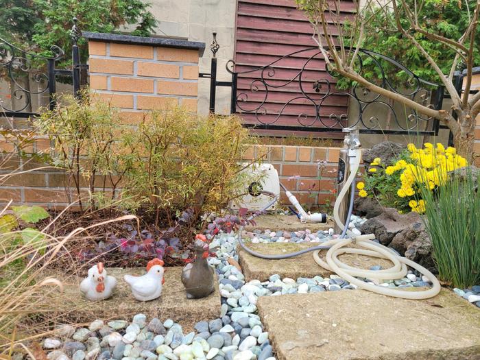 235149625_xmH6ceQw_05dbc94e793b9860fc1fa8f3f0bffa6dea4e6b30.jpg 이미지크게보기