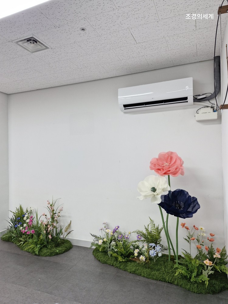 /user/s/ss5340/editor/2506/2074682d1593ce994b2cefc20e7c3382_1750483864_8383.jpg 이미지크게보기